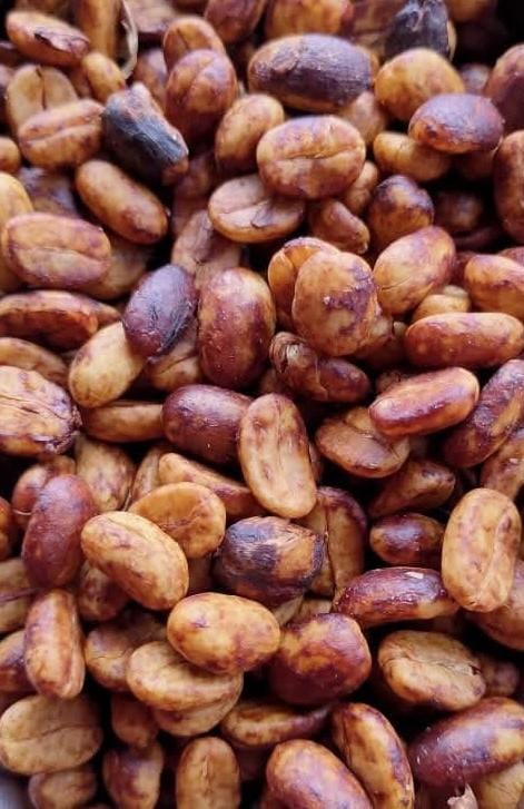 Honey-processed coffee beans with a rich golden-brown hue, highlighting the unique drying process.
