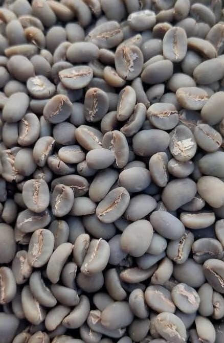 Green bean coffee processed with the semi-washed method from Lintong Nihuta
